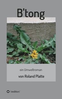 bokomslag B'tong