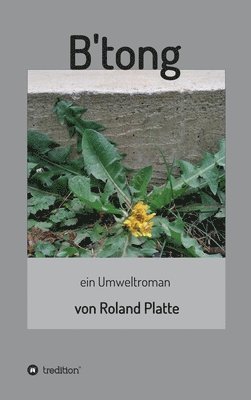 bokomslag B'tong