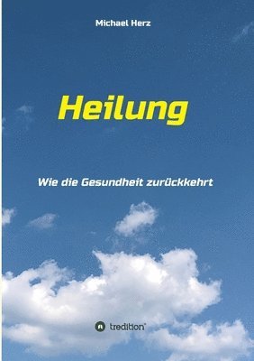 bokomslag Heilung - Wie die Gesundheit zurückkehrt