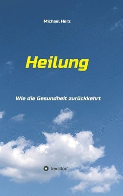 bokomslag Heilung - Wie die Gesundheit zurückkehrt