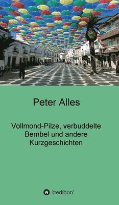 Vollmond-Pilze, verbuddelte Bembel und andere Kurzgeschichten 1