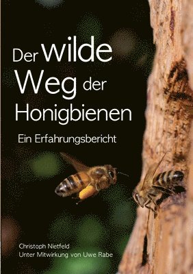 bokomslag Der wilde Weg der Honigbienen
