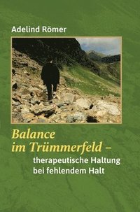 bokomslag Balance im Trümmerfeld