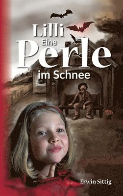 Lilli: Eine Perle im Schnee 1