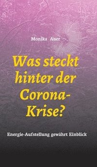 bokomslag Was steckt hinter der Corona-Krise?: Energie-Aufstellung gewährt Einblick