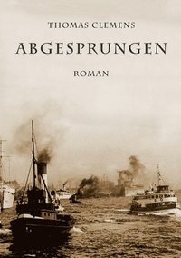 bokomslag Abgesprungen