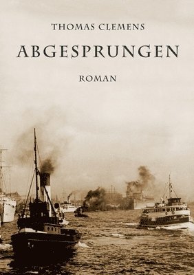 bokomslag Abgesprungen: Roman