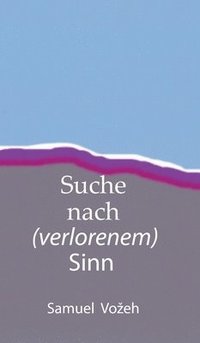 bokomslag Suche nach (verlorenem) Sinn