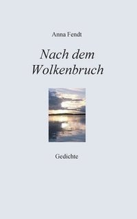 bokomslag Nach dem Wolkenbruch