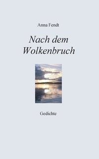 bokomslag Nach dem Wolkenbruch: Gedichte