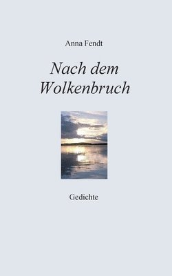bokomslag Nach dem Wolkenbruch