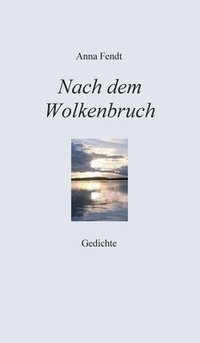 bokomslag Nach dem Wolkenbruch: Gedichte