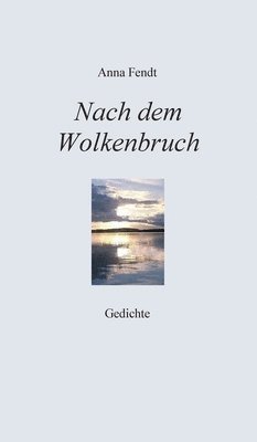 bokomslag Nach dem Wolkenbruch