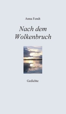 bokomslag Nach dem Wolkenbruch: Gedichte