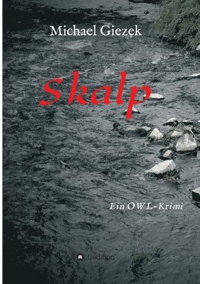 Skalp: Ein OWL-Krimi