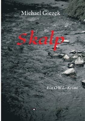 Skalp: Ein OWL-Krimi 1