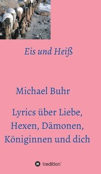 bokomslag Eis und Heiß: Lyrics über Liebe, Hexen, Dämonen, Königinnen und dich