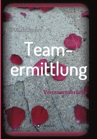 bokomslag Teamermittlung