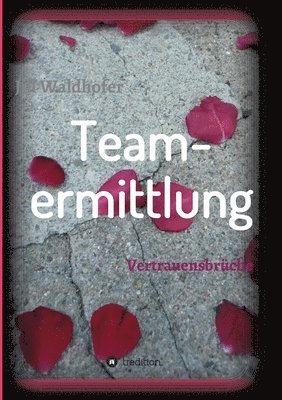 bokomslag Teamermittlung