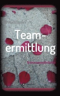 bokomslag Teamermittlung