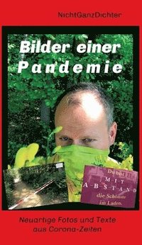 bokomslag Bilder einer Pandemie