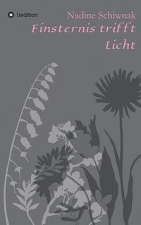 bokomslag Finsternis trifft Licht