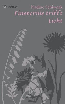 bokomslag Finsternis trifft Licht