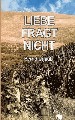 bokomslag Liebe fragt nicht