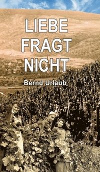 bokomslag Liebe fragt nicht