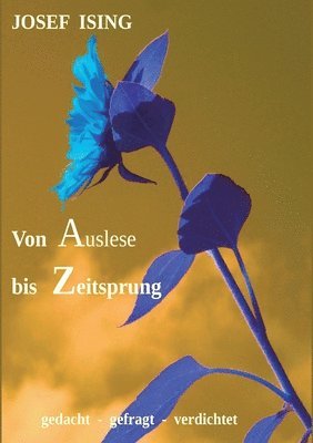 Josef Ising - von Auslese bis Zeitsprung: gedacht - gefühlt - verdichtet, Häftad