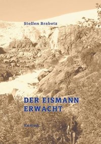 bokomslag Der Eismann erwacht