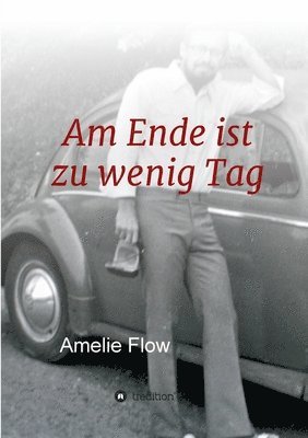 bokomslag Am Ende ist zu wenig Tag