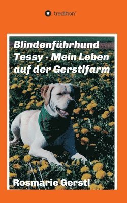 bokomslag Blindenführhund Tessy - Mein Leben auf der Gerstlfarm