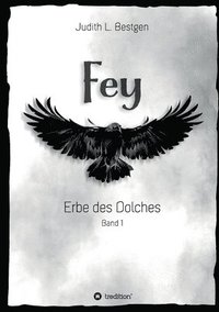 bokomslag Fey: Erbe des Dolches