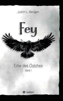 bokomslag Fey: Erbe des Dolches