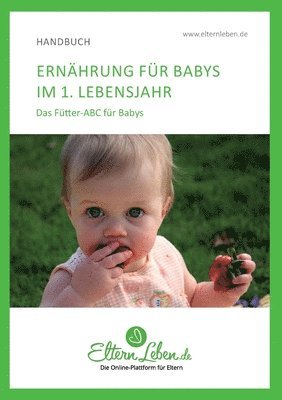 bokomslag Ernährung für Babys im 1. Lebensjahr