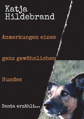 bokomslag Anmerkungen eines ganz gewöhnlichen Hundes: Senta erzählt...