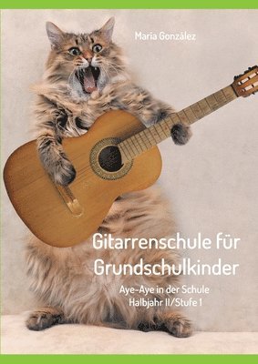 Gitarrenschule für Grundschulkinder: Aye-Aye in der Schule 1