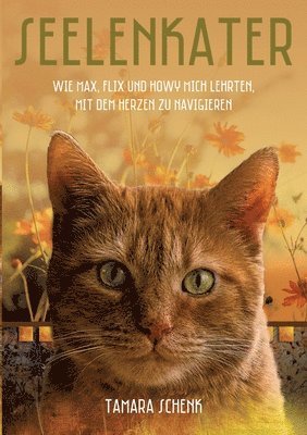 bokomslag Seelenkater