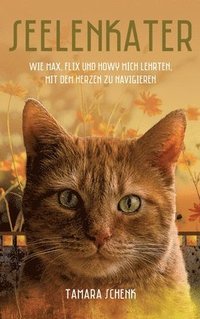 bokomslag Seelenkater