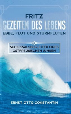 bokomslag Fritz - Gezeiten des Lebens - Ebbe, Flut und Sturmfluten