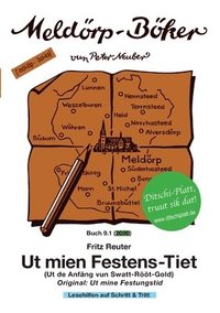 bokomslag Ut mien Festens-Tiet