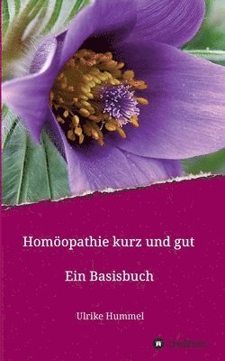 bokomslag Homöopathie kurz und gut: Ein Basisbuch