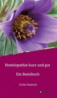 bokomslag Homöopathie kurz und gut: Ein Basisbuch