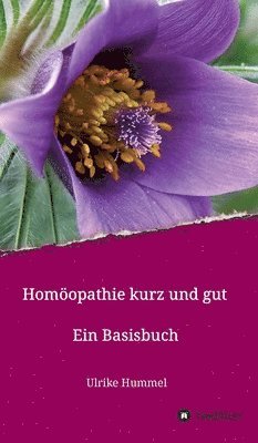 Homöopathie kurz und gut: Ein Basisbuch 1