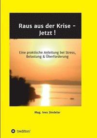 bokomslag Raus aus der Krise - Jetzt !: Eine praktische Anleitung bei Stress, Belastung & Überforderung