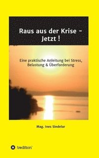 bokomslag Raus aus der Krise - Jetzt !: Eine praktische Anleitung bei Stress, Belastung & Überforderung