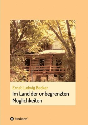 bokomslag Im Land der unbegrenzten Möglichkeiten - eine Hommage an die menschliche Vorstellungskraft