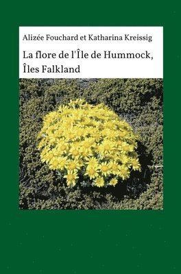 La flore de l'île de Hummock, Îles Falkland 1