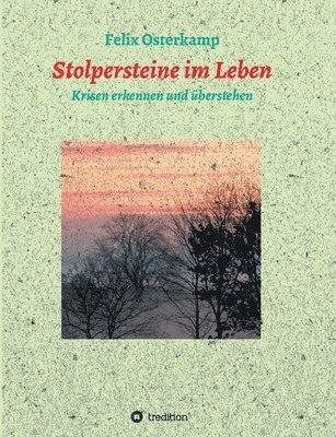 bokomslag Stolpersteine im Leben - Krisen erkennen und überstehen